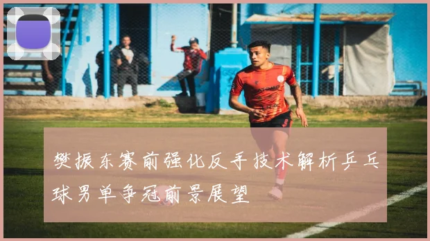 樊振东赛前强化反手技术解析乒乓球男单争冠前景展望