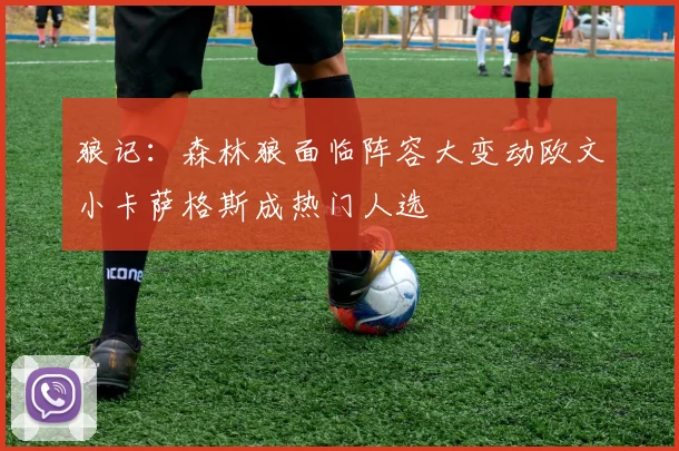 狼记：森林狼面临阵容大变动欧文小卡萨格斯成热门人选
